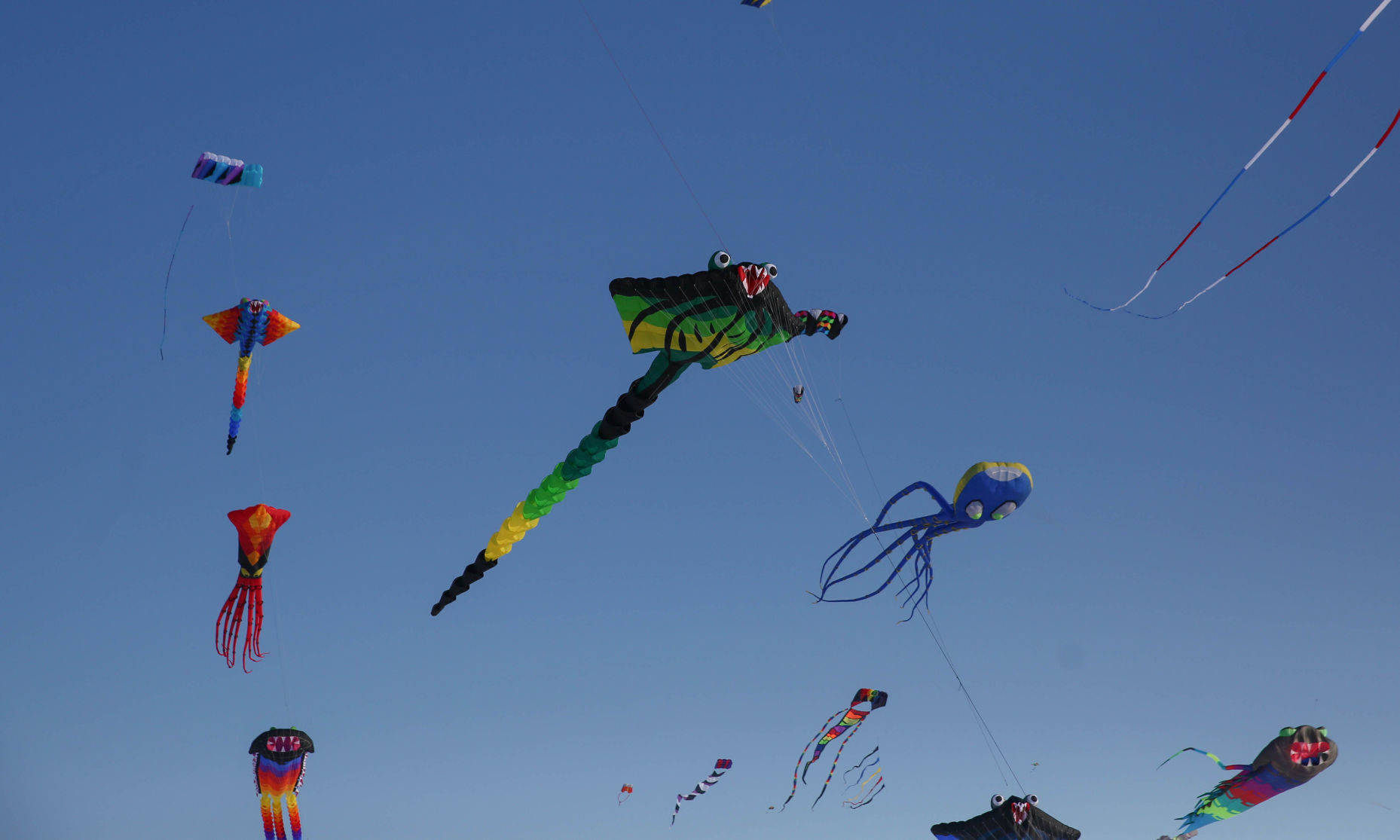Color the Wind kite festival 02-15-2020 (77).jpg